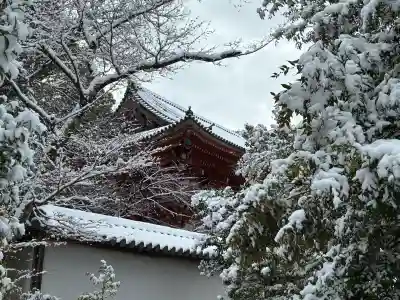 三宝院（三宝院門跡）の{uncategorized: "未分類", other: "その他", undefined: "問題あり", building: "その他建物", grave: "お墓", sacred_gate: "鳥居", guardian: "狛犬", statue: "像", buddha: "仏像", history: "歴史", nature: "自然", garden: "庭園", animal: "動物", pagoda: "塔", temizu: "手水舎", mountain_gate: "山門・神門", sanctuary: "本殿・本堂", subordinate: "末社・摂社", art: "芸術", scenery: "景色", jizo: "地蔵", ema: "絵馬", goshuin: "御朱印", omikuji: "おみくじ", items: "授与品その他", amulet: "お守り", goshuincho: "御朱印帳", eats: "食事", festival: "お祭り", votive_dance: "神楽", shichigosan: "七五三参", wedding: "結婚式", experience: "体験その他", initially: "初詣", around: "周辺", anti_infection: "感染症対策"}