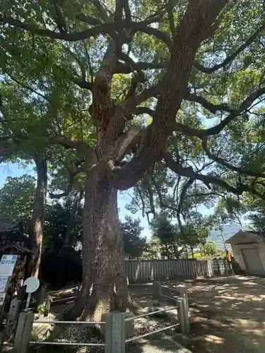 高忍日賣神社(愛媛県)