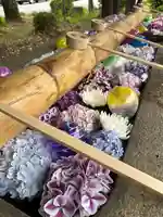 群馬県護国神社(群馬県)