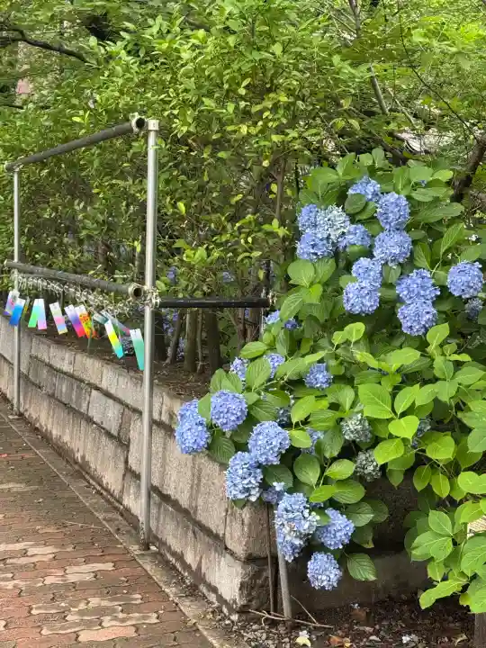 若宮八幡社(愛知県)