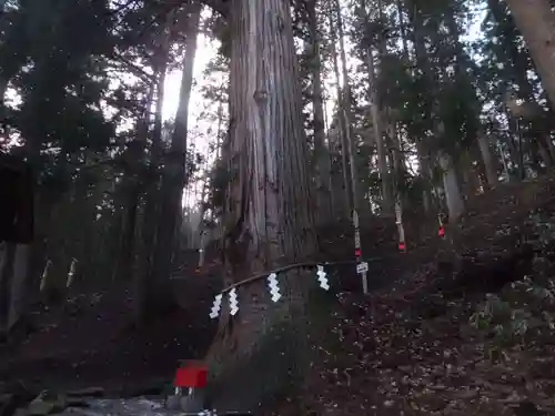 志和稲荷神社の自然