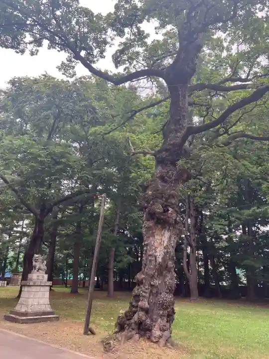 帯廣神社の自然