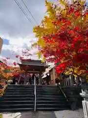 紅葉八幡宮(福岡県)