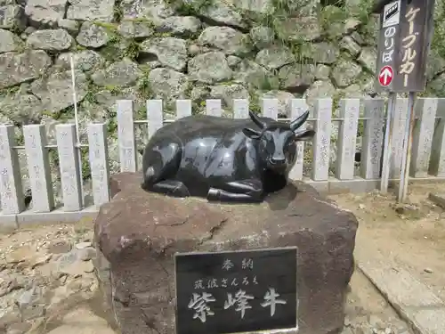 筑波山神社の狛犬