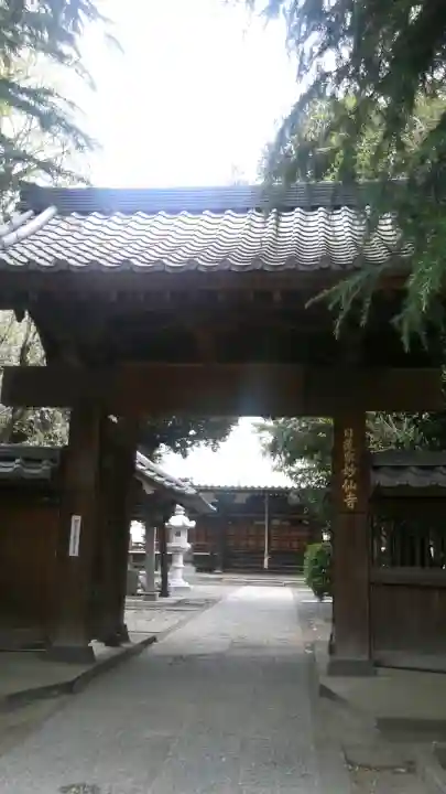 妙仙寺(埼玉県)