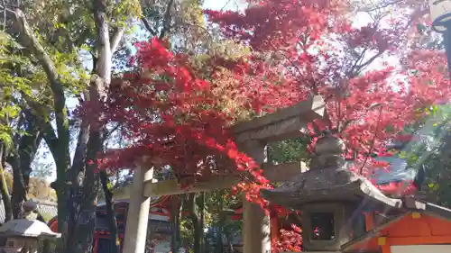 八坂神社(祇園さん)の鳥居