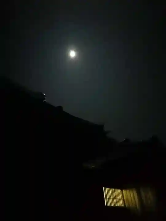 伏木香取神社の景色