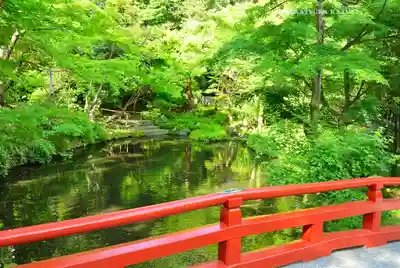 鶴岡八幡宮(神奈川県)