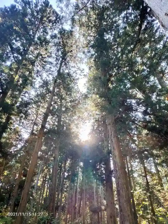 御岩神社の自然
