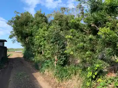 三峯神社の周辺