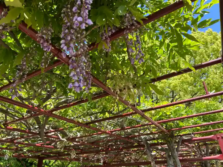 中島天満宮(兵庫県)