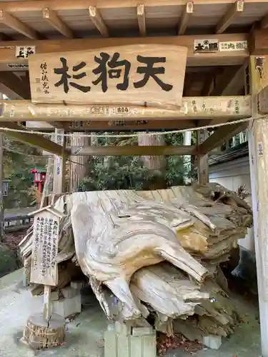 目の霊山　油山寺(静岡県)