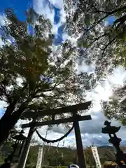 白鳥神社(長野県)