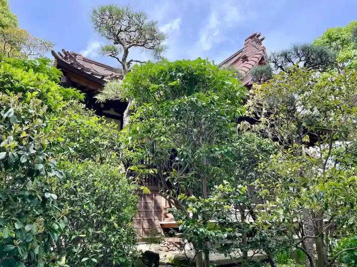 大巧寺(神奈川県)
