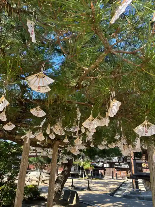 智恩寺(京都府)