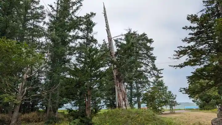 共成神社の自然