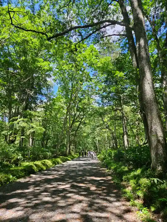 戸隠神社奥社(長野県)