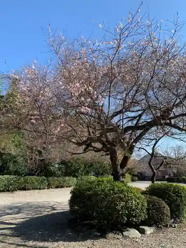 櫻木神社の庭園