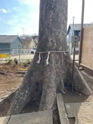 春日神社の{uncategorized: "未分類", other: "その他", undefined: "問題あり", building: "その他建物", grave: "お墓", sacred_gate: "鳥居", guardian: "狛犬", statue: "像", buddha: "仏像", history: "歴史", nature: "自然", garden: "庭園", animal: "動物", pagoda: "塔", temizu: "手水舎", mountain_gate: "山門・神門", sanctuary: "本殿・本堂", subordinate: "末社・摂社", art: "芸術", scenery: "景色", jizo: "地蔵", ema: "絵馬", goshuin: "御朱印", omikuji: "おみくじ", items: "授与品その他", amulet: "お守り", goshuincho: "御朱印帳", eats: "食事", festival: "お祭り", votive_dance: "神楽", shichigosan: "七五三参", wedding: "結婚式", experience: "体験その他", initially: "初詣", around: "周辺", anti_infection: "感染症対策"}
