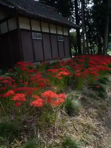 駒形神社の自然