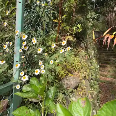 権現坂祠(神奈川県)