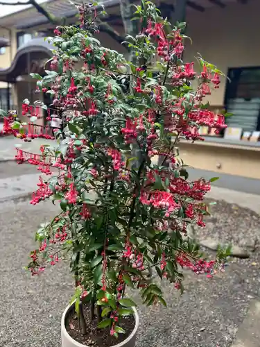 赤坂氷川神社(東京都)