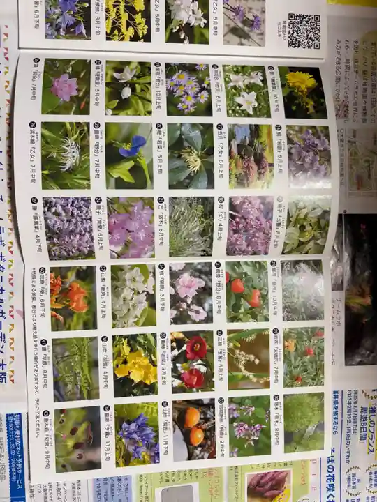 城南宮(京都府)