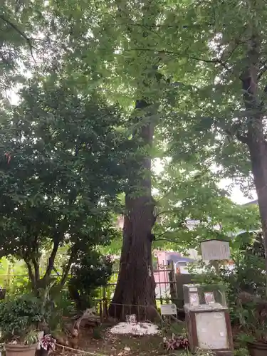 戸越八幡神社(東京都)