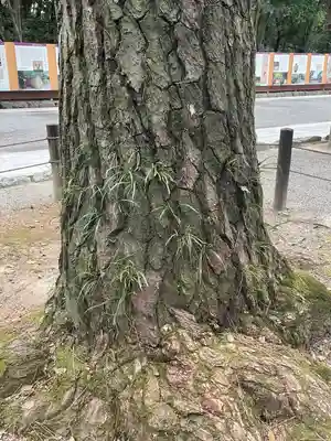 熱田神宮(愛知県)