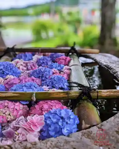 立志神社(滋賀県)