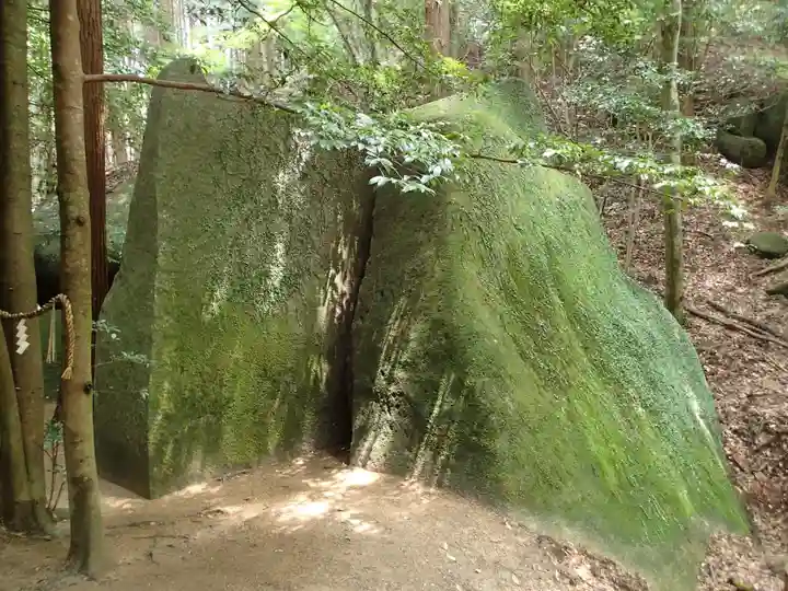 天乃石立神社の自然