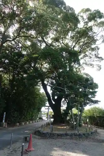 結城神社のその他建物