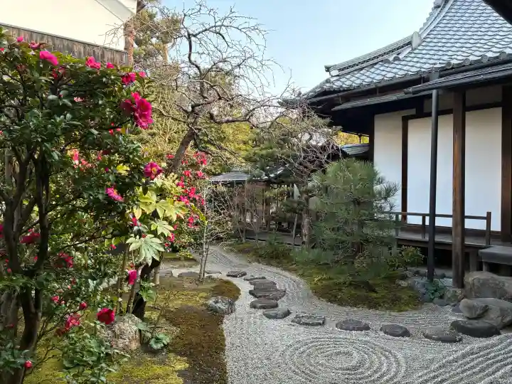 両足院の{uncategorized: "未分類", other: "その他", undefined: "問題あり", building: "その他建物", grave: "お墓", sacred_gate: "鳥居", guardian: "狛犬", statue: "像", buddha: "仏像", history: "歴史", nature: "自然", garden: "庭園", animal: "動物", pagoda: "塔", temizu: "手水舎", mountain_gate: "山門・神門", sanctuary: "本殿・本堂", subordinate: "末社・摂社", art: "芸術", scenery: "景色", jizo: "地蔵", ema: "絵馬", goshuin: "御朱印", omikuji: "おみくじ", items: "授与品その他", amulet: "お守り", goshuincho: "御朱印帳", eats: "食事", festival: "お祭り", votive_dance: "神楽", shichigosan: "七五三参", wedding: "結婚式", experience: "体験その他", initially: "初詣", around: "周辺", anti_infection: "感染症対策"}