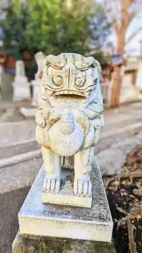 滝野川八幡神社の狛犬