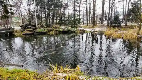 永山神社の庭園
