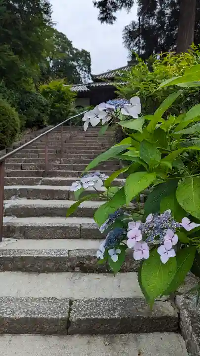 安養寺(京都府)