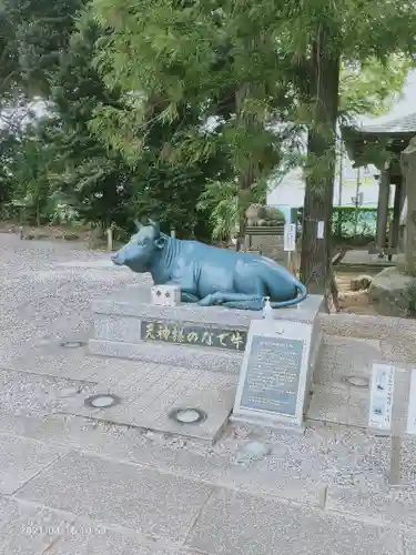 朝日森天満宮の狛犬