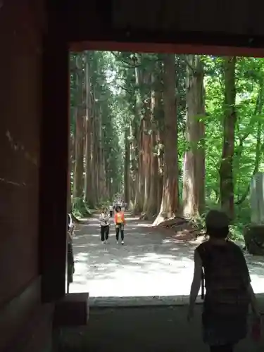 戸隠神社九頭龍社の自然