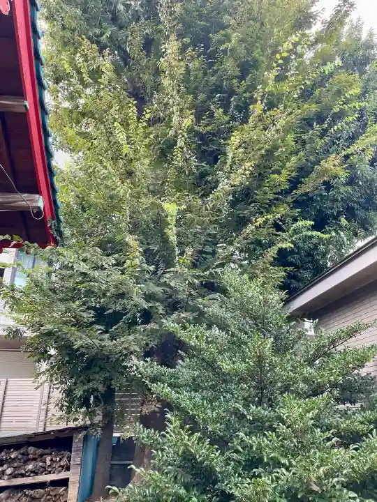 中田出世稲荷神社(東京都)