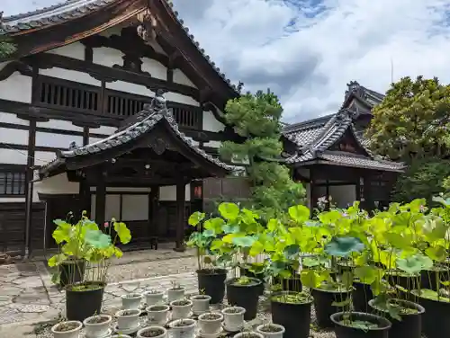 行願寺（革堂）のその他建物