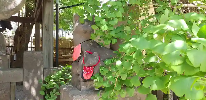 浅草神社の狛犬