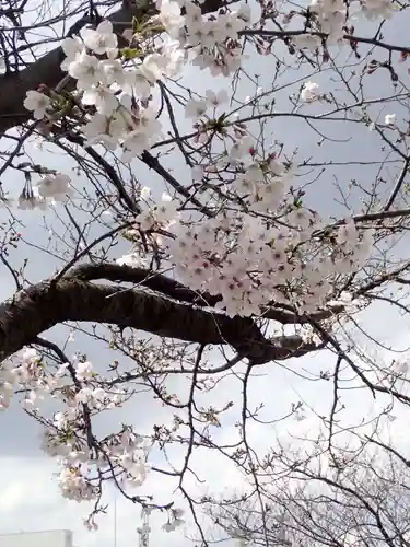 孝道山の御朱印