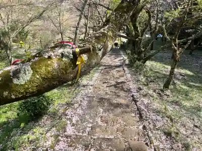 仏隆寺の{uncategorized: "未分類", other: "その他", undefined: "問題あり", building: "その他建物", grave: "お墓", sacred_gate: "鳥居", guardian: "狛犬", statue: "像", buddha: "仏像", history: "歴史", nature: "自然", garden: "庭園", animal: "動物", pagoda: "塔", temizu: "手水舎", mountain_gate: "山門・神門", sanctuary: "本殿・本堂", subordinate: "末社・摂社", art: "芸術", scenery: "景色", jizo: "地蔵", ema: "絵馬", goshuin: "御朱印", omikuji: "おみくじ", items: "授与品その他", amulet: "お守り", goshuincho: "御朱印帳", eats: "食事", festival: "お祭り", votive_dance: "神楽", shichigosan: "七五三参", wedding: "結婚式", experience: "体験その他", initially: "初詣", around: "周辺", anti_infection: "感染症対策"}