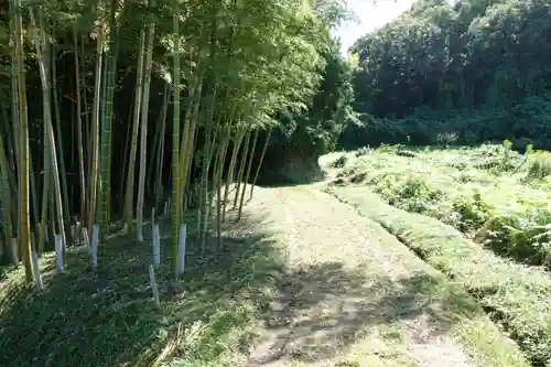 高田山口神社の自然