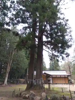東山白山神社(岐阜県)