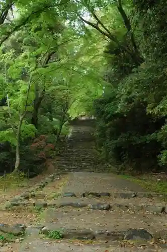 神護寺の建物その他