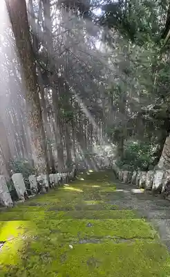 豊楽寺(高知県)