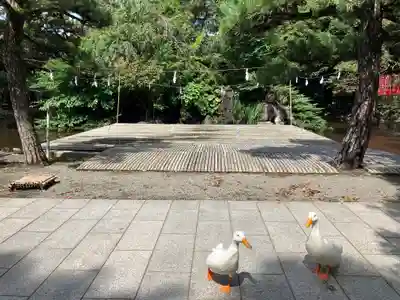 平塚八幡宮(神奈川県)