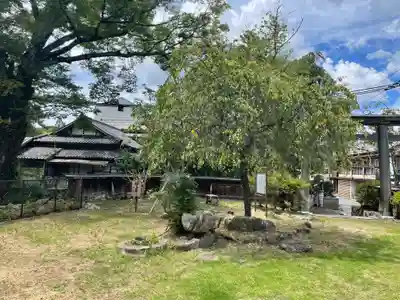 勝手神社の自然
