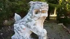 近江神宮の狛犬